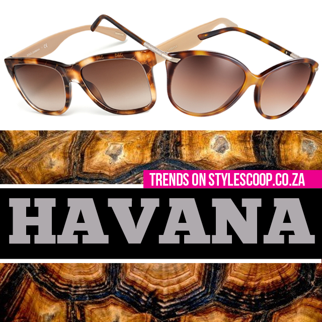 7 Totally Chic Tortoise Shell Sunnies & Frames That Will Rock Your Face Off